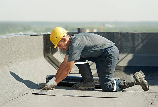 Best Cellulose Insulation in Vonore, TN