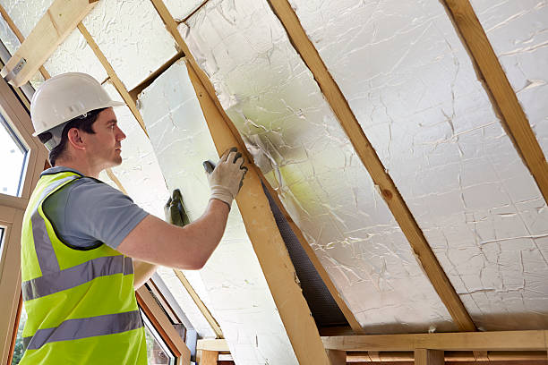 Best Geographic-Specific Insulation Services in Vonore, TN